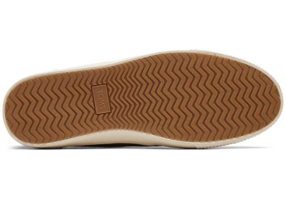 Toms Carlo Sneaker Nutmeg