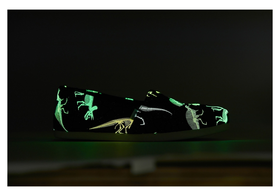 Toms Alpargata Dino Neon Multi Dino