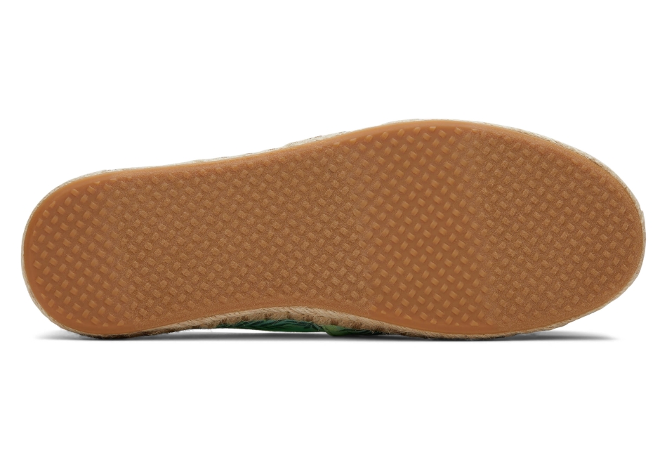 Toms Espadrille Alpargata Green Palm