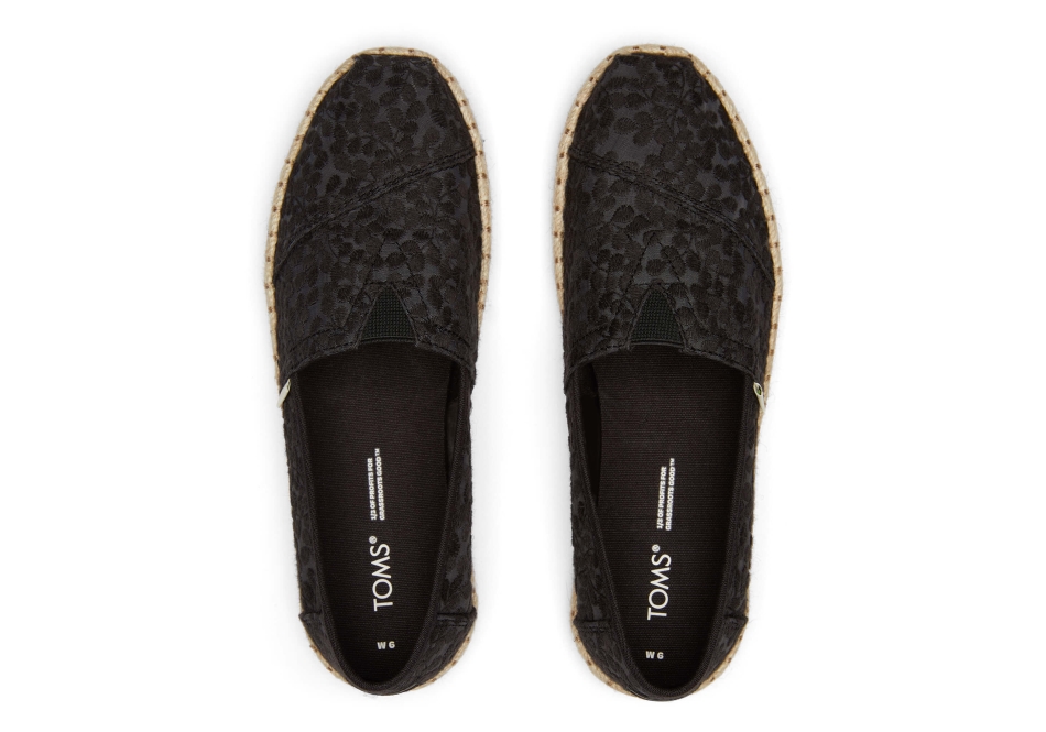 Espadrille Toms Alpargata Black