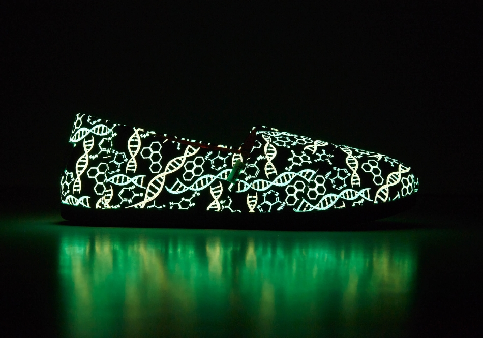 Toms Alpargata Dna Black