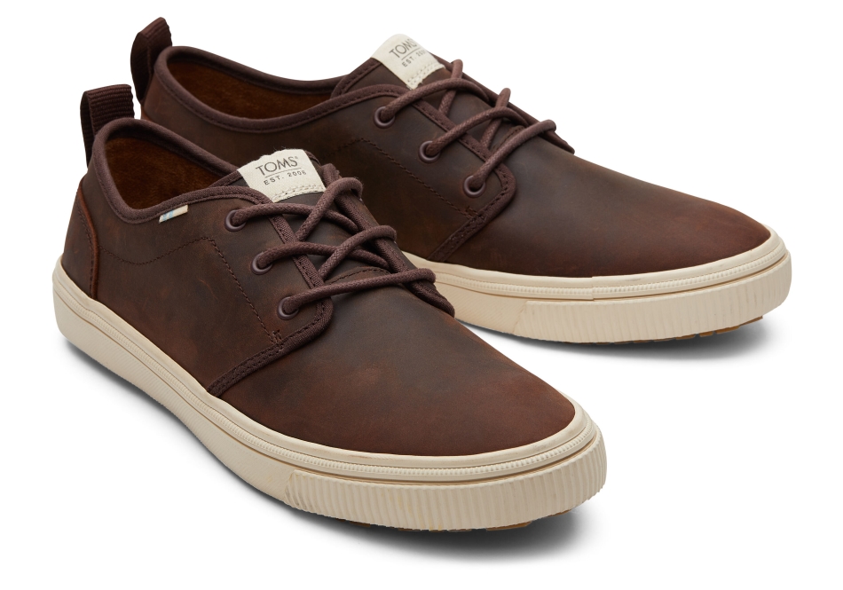 Toms Carlo Terrain Water Resistant Leather Sneaker Water Resistant Clove Brown