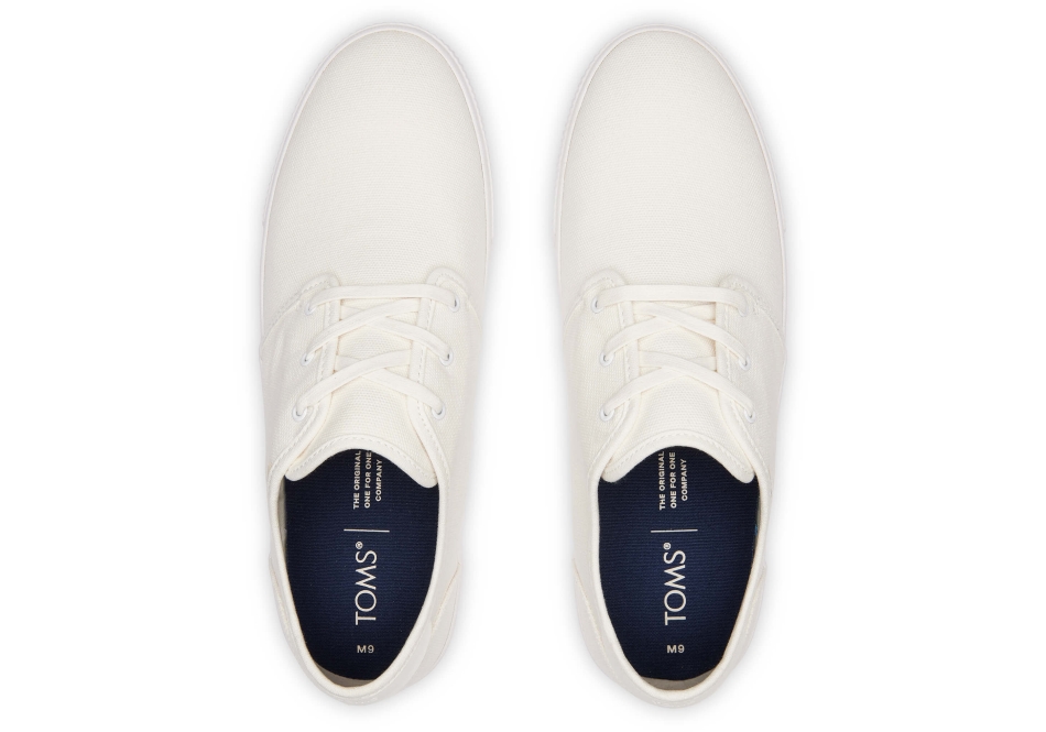 Toms Carlo Sneaker White