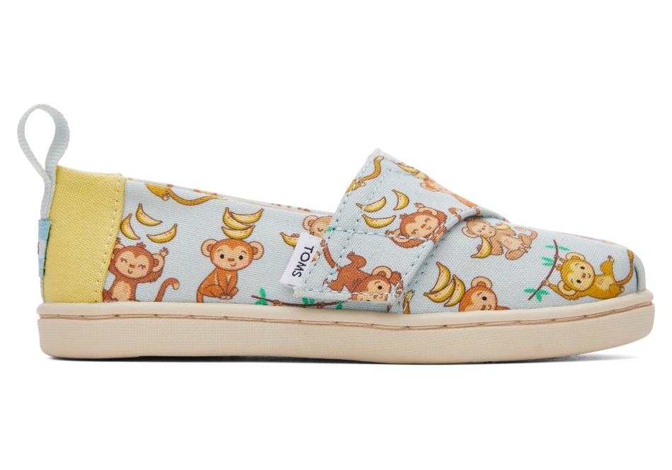 Toms Monkey Business Alpargata Light Blue