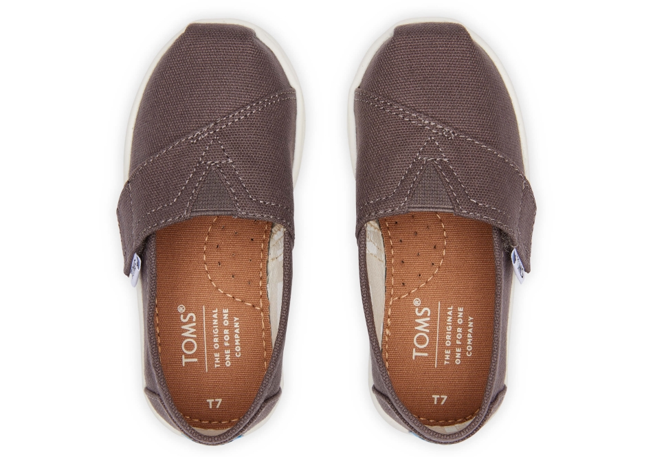 Toms Grey Alpargata Ash